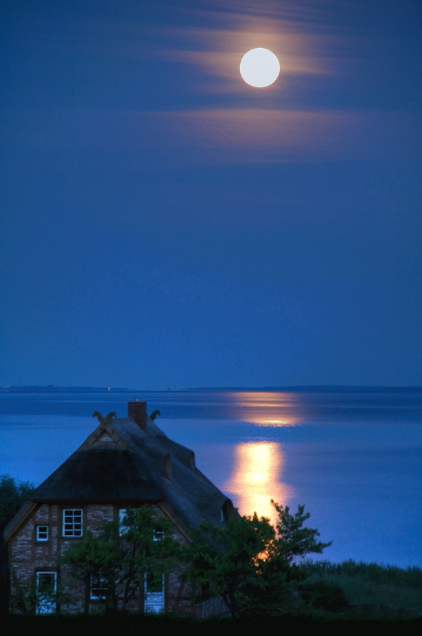 Blaue Stunde mit Vollmond am Bodden...