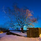 Blaue Stunde mit Vollmond