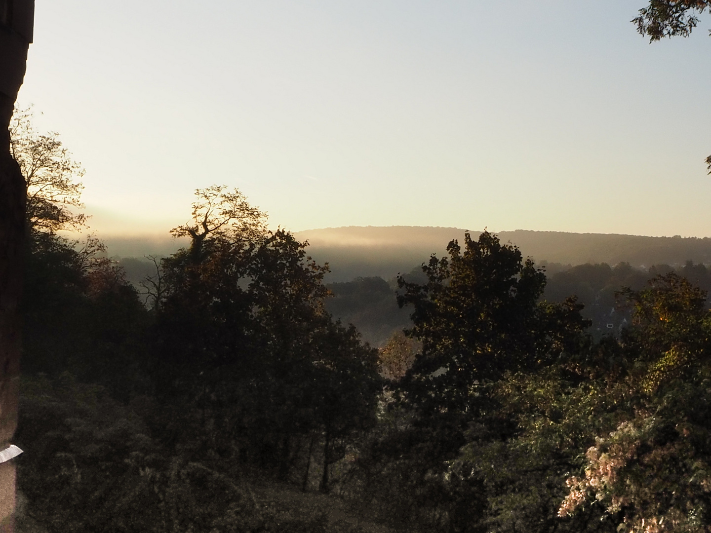 blaue Stunde - Morgennebel