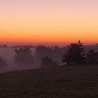 Blaue Stunde - Neubrandenburg