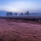 Blaue Stunde - roter Sand