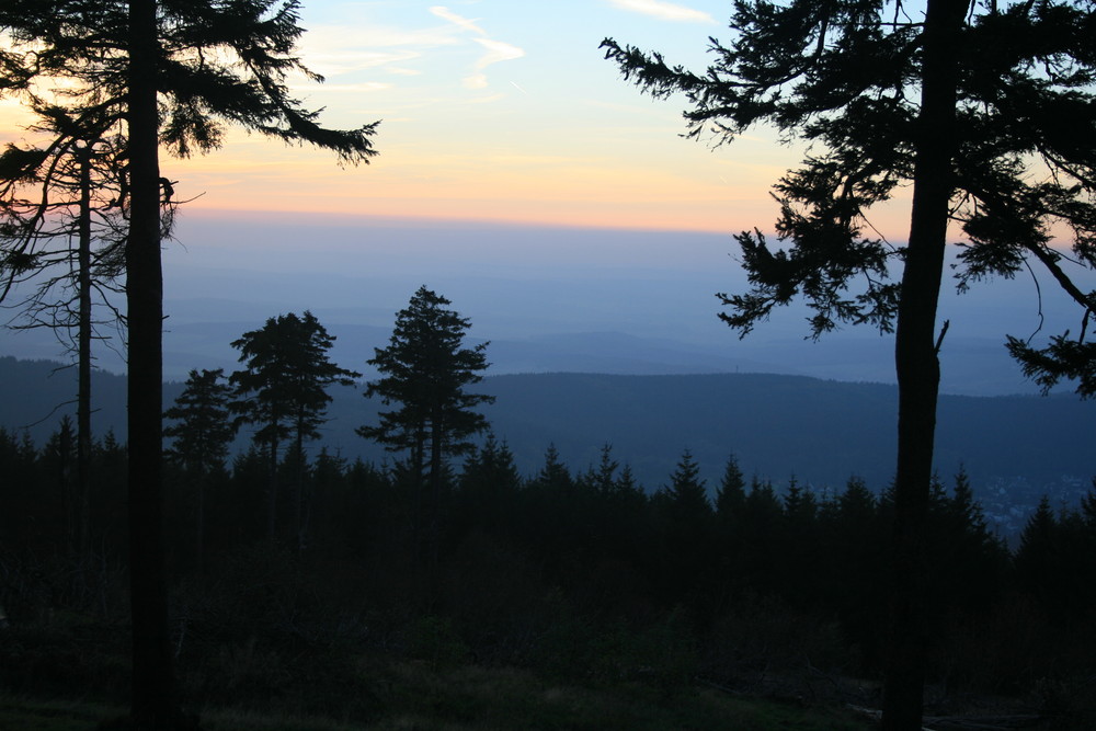 Blaue Stunde, Schwarze Bäume