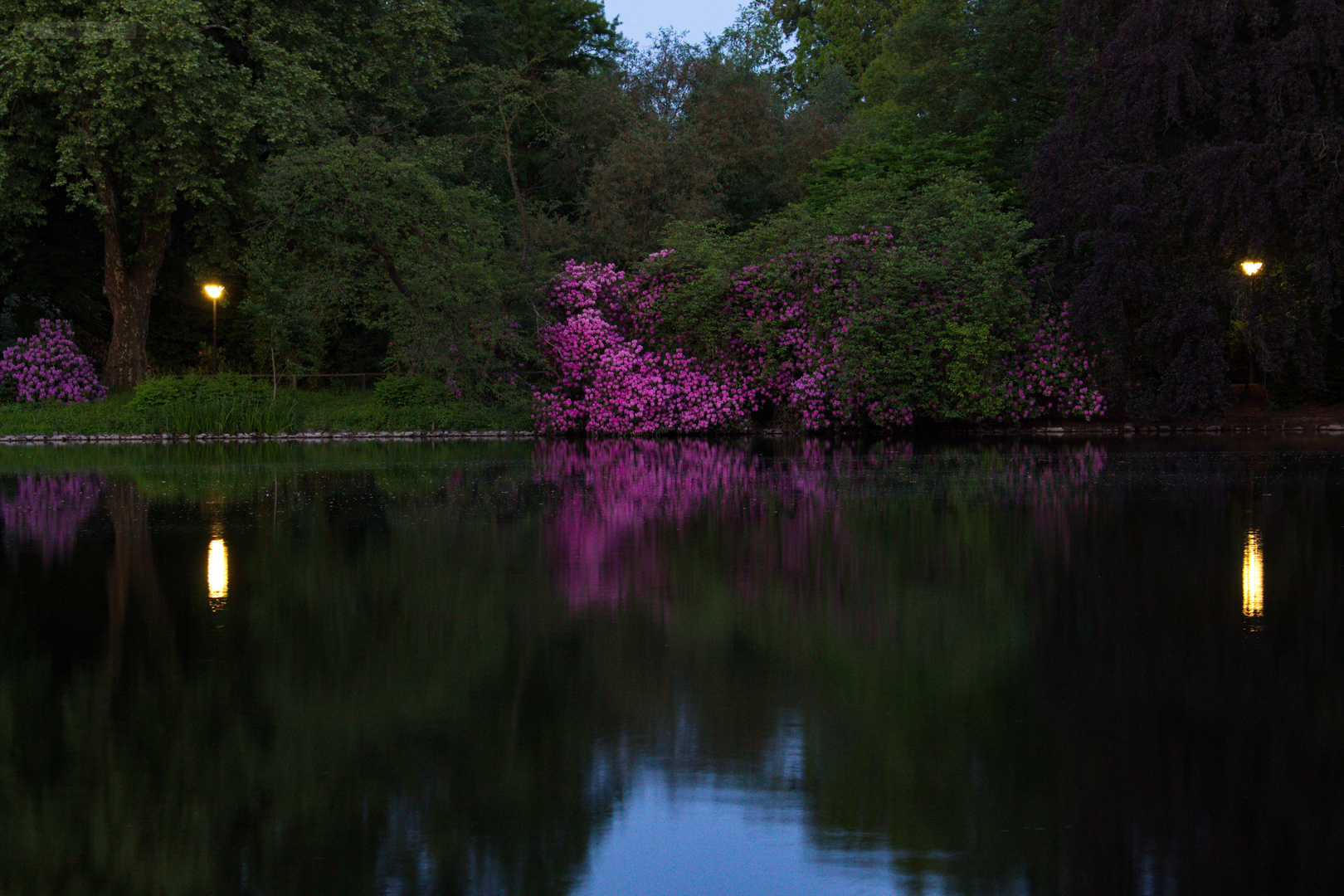 Blaue Stunde. Spiegelung im See. 