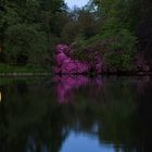 Blaue Stunde. Spiegelung im See. 