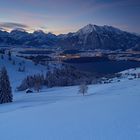 Blaue Stunde über dem Thunersee