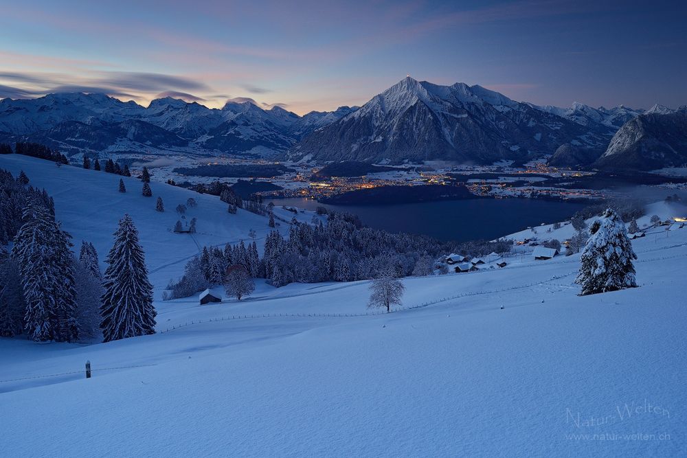 Blaue Stunde über dem Thunersee