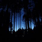 Blaue Stunde über´m Arenberger Wald