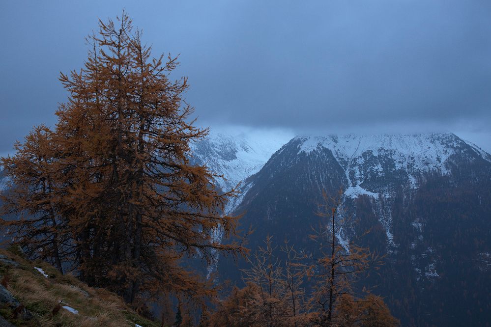 blaue Stunde und Regen