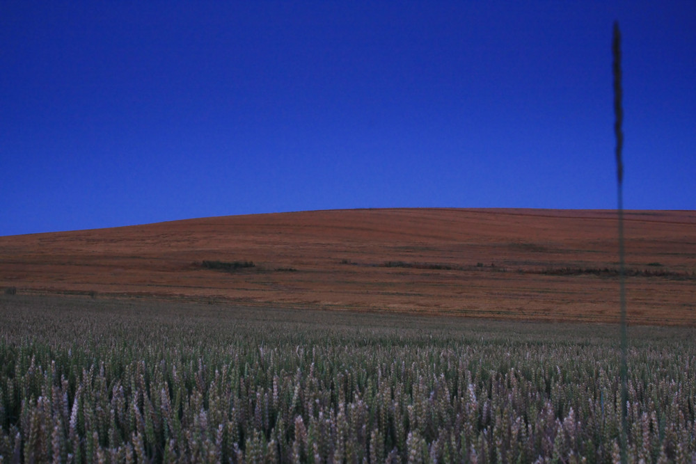 Blaue Stunde_1