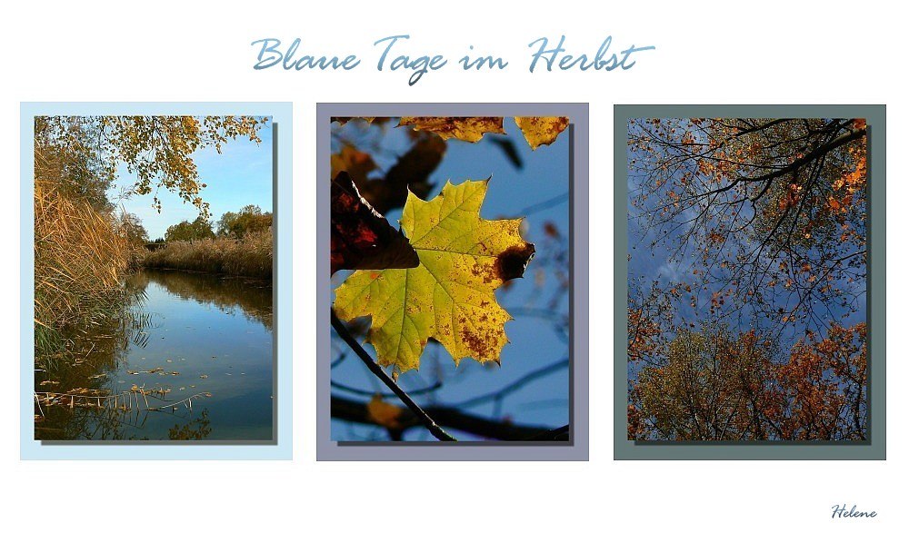 Blaue Tage im Herbst