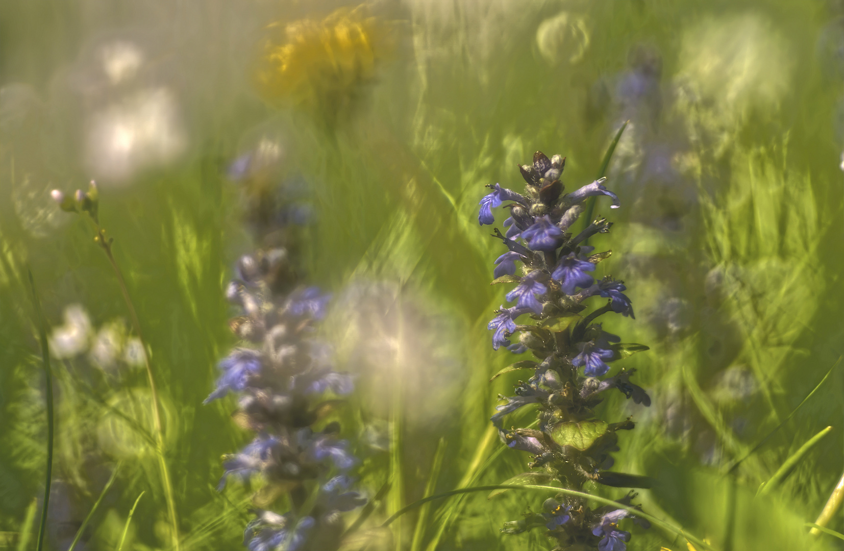 Blaue Türmchen