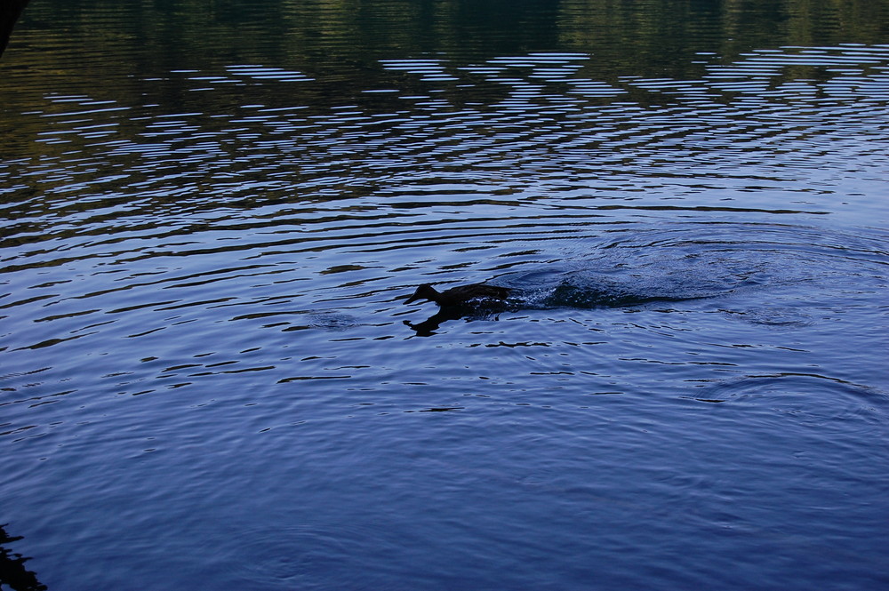 blaue (Un-)tiefen