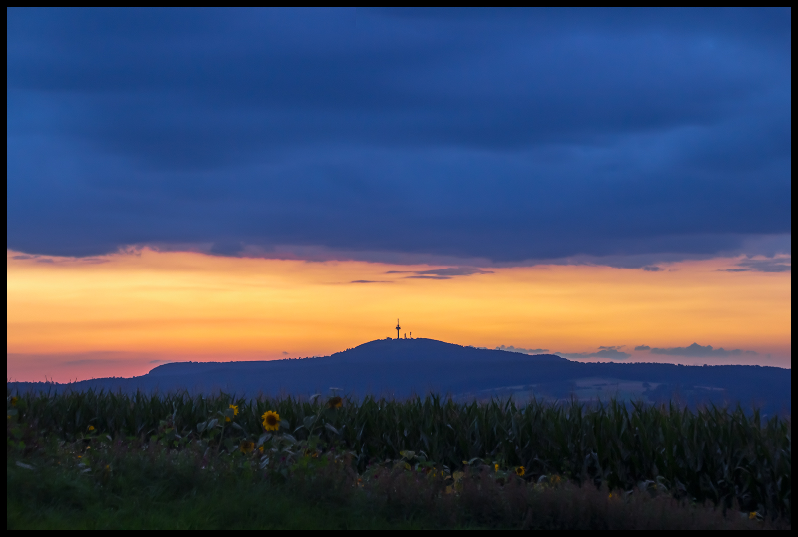 Blaue und Gelbe Stunde... - ...vor diesem Winter...