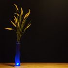 Blaue Vase