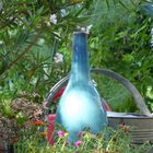 Blaue Vase im Garten