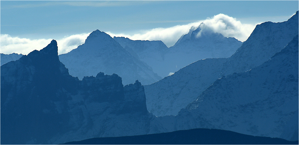 Blaue Wildnis