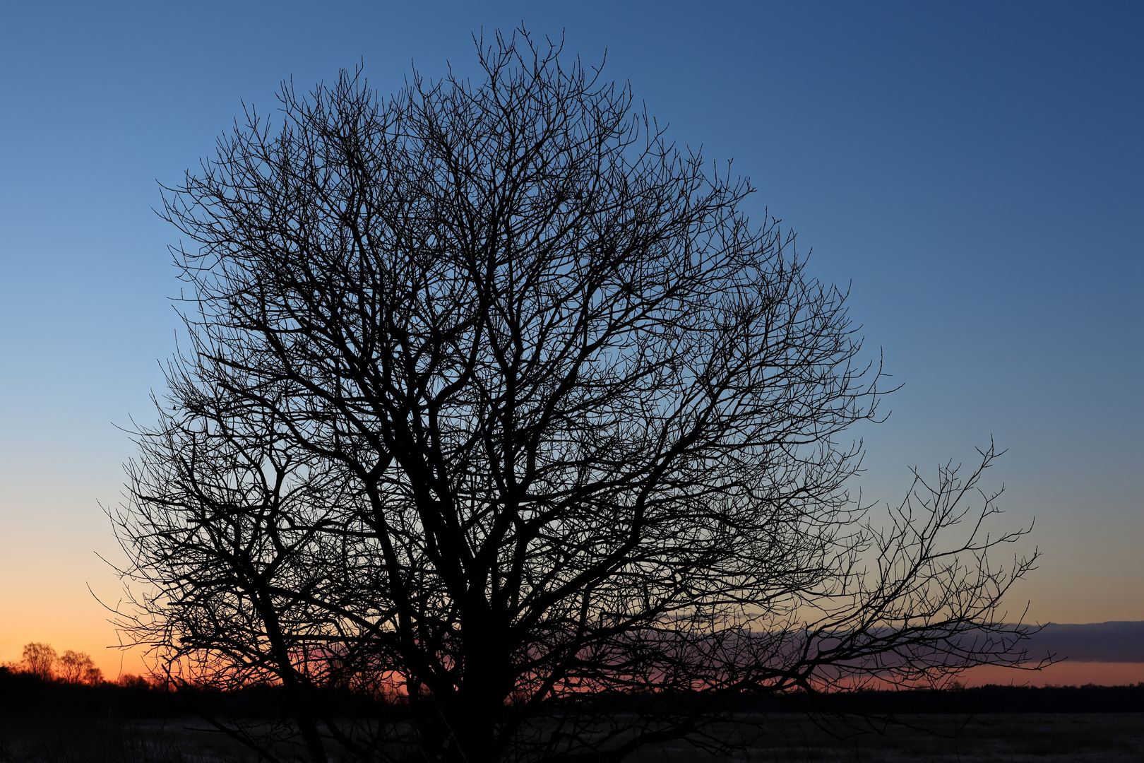 blaue Winter-Stunde