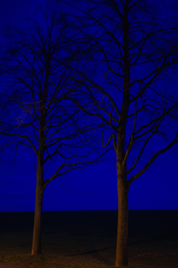 Blaue Winternacht