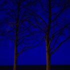 Blaue Winternacht