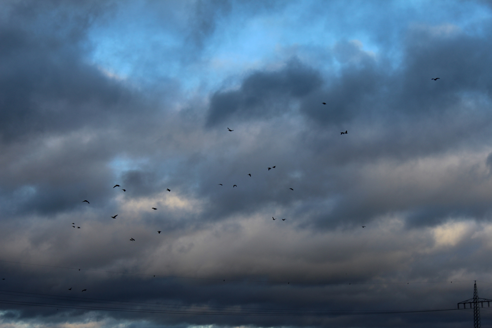 Blaue Wolken und Wildgänse