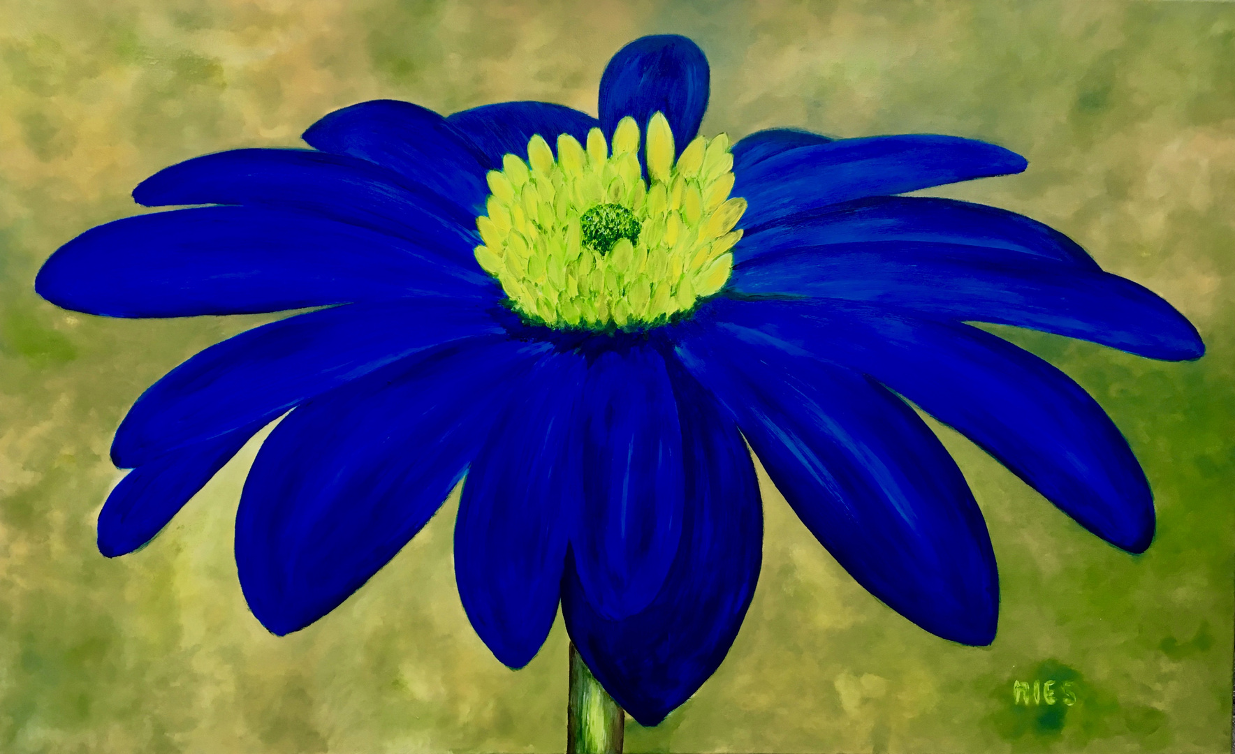 BlaueAnemone