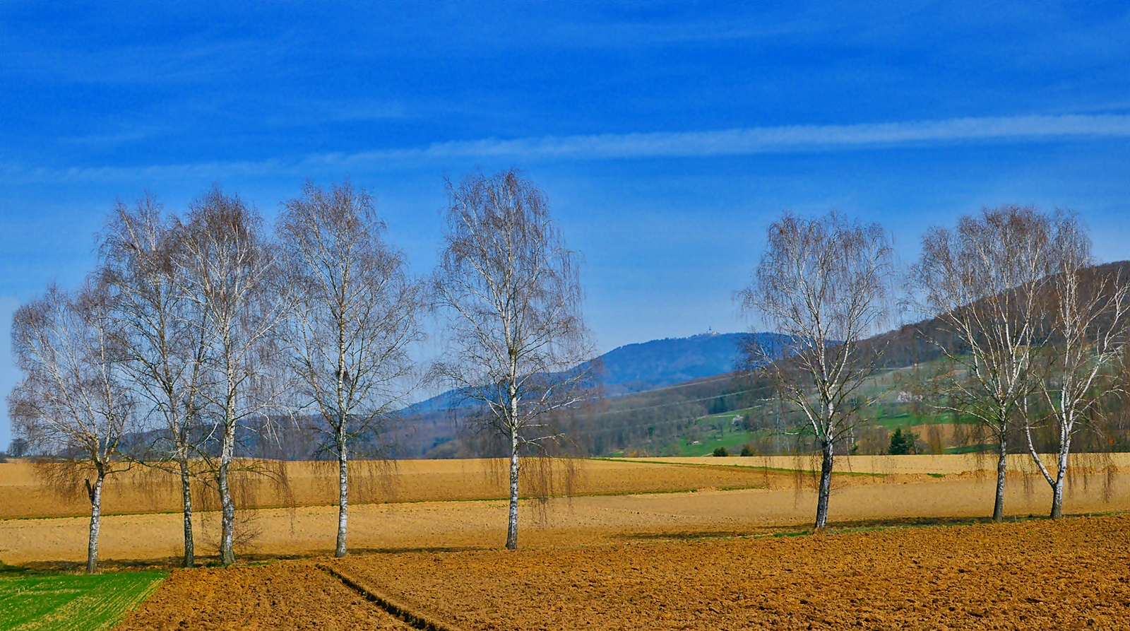 ~~~ Blauen - Blick 1: Vorfrühling ~~~