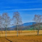 ~~~ Blauen - Blick 1: Vorfrühling ~~~