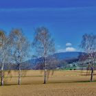 ~~~ Blauen - Blick 2: Frühling / Baumblüte ~~~