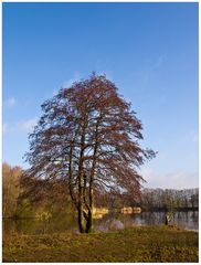 Blauen Himmel...