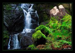 Blauenthaler Wasserfall III