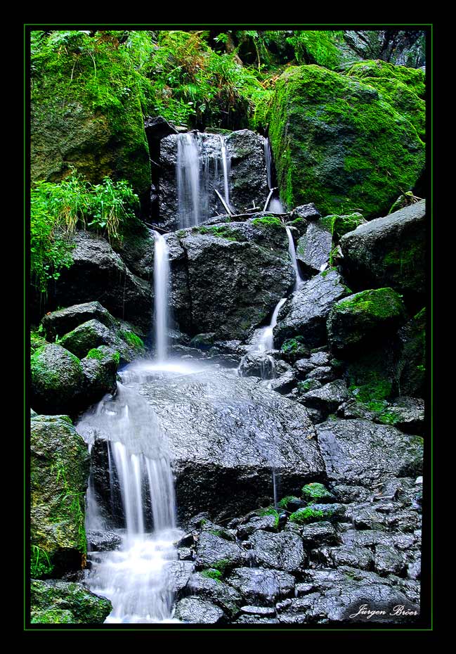 Blauenthaler Wasserfall IV