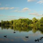 Blauer Abend am Teich