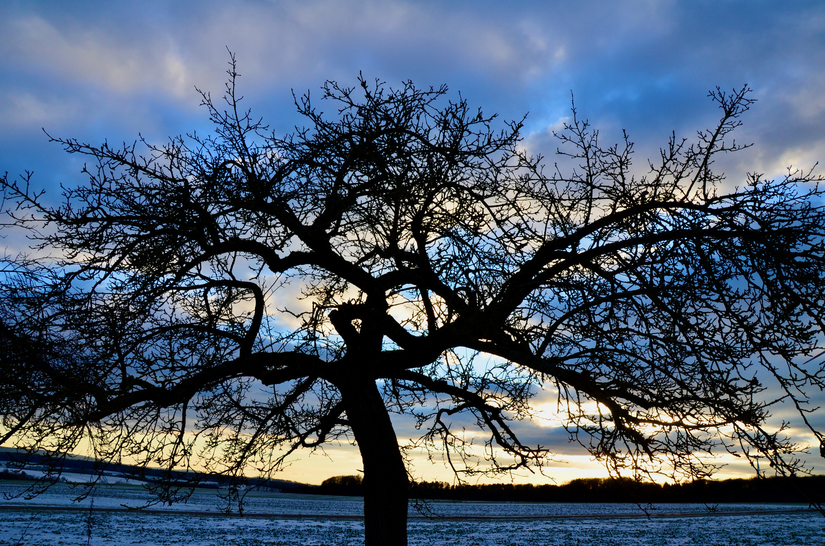 Blauer Abendhimmel Tanz 