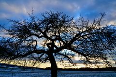 Blauer Abendhimmel Tanz 