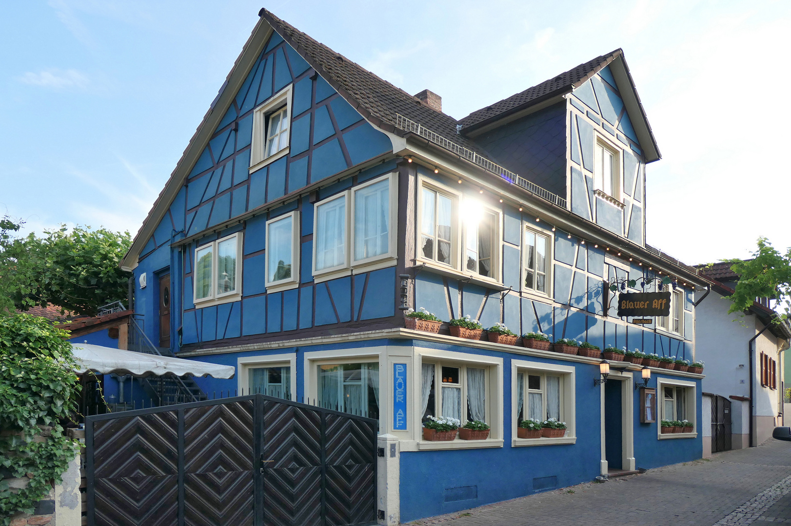 "Blauer Aff" in BensheimAuerbach Foto & Bild blue, world, spezial