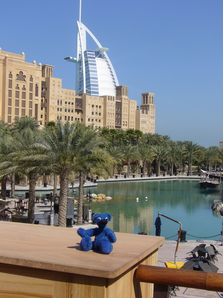 Blauer Bär in Dubai 1