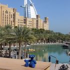 Blauer Bär in Dubai 1