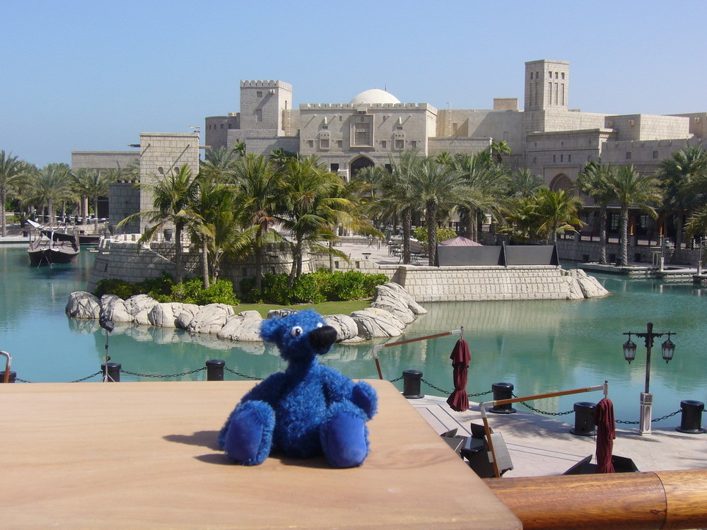 Blauer Bär in Dubai 2