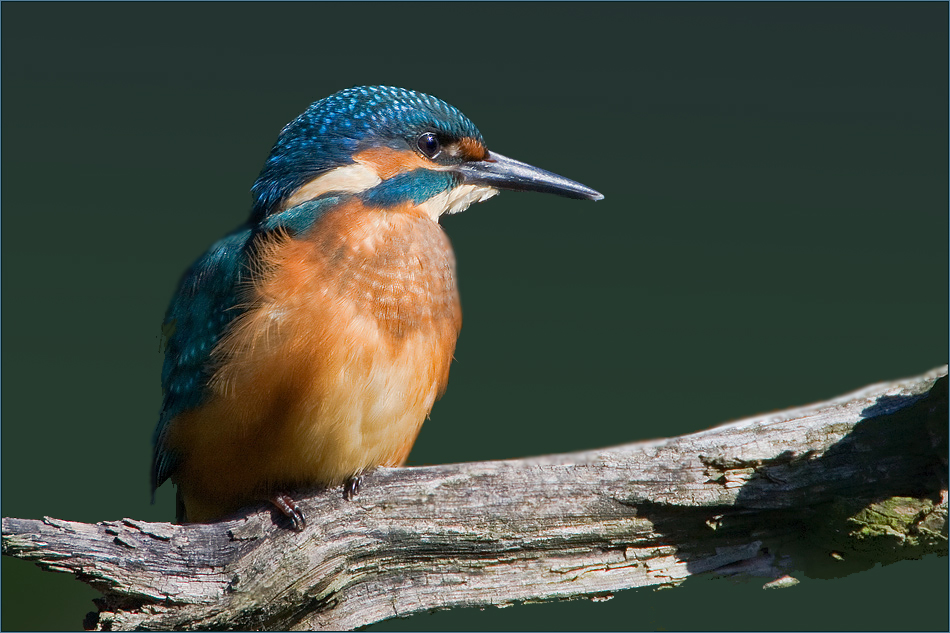 Blauer Edelstein