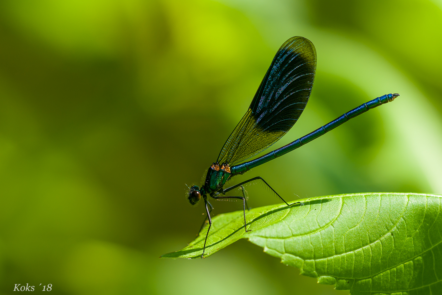 Blauer Edelstein