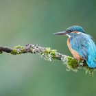 „Blauer Edelstein“