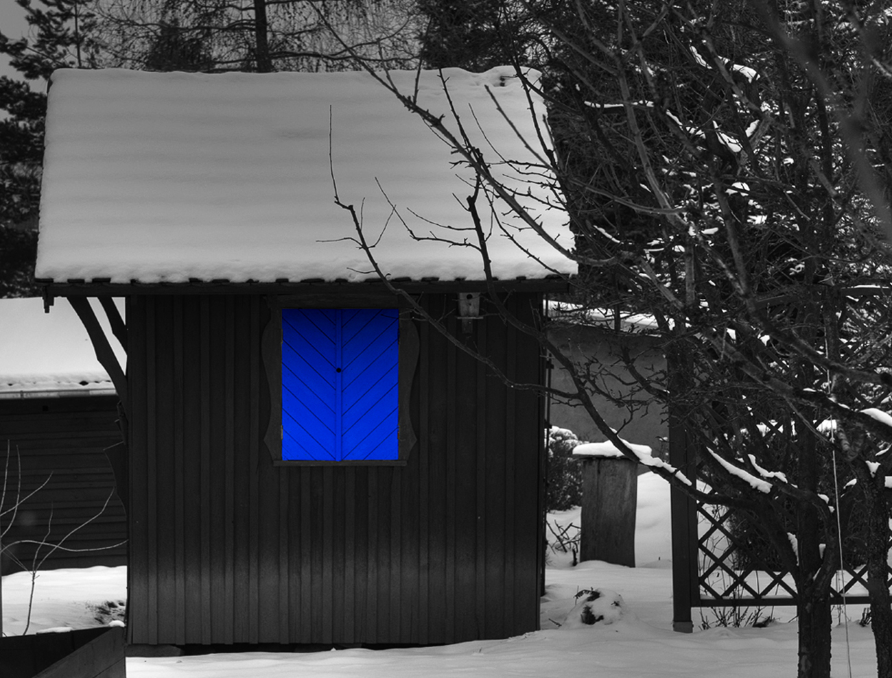 *** blauer Fensterladen ***