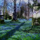  "Blauer Friedhof" in Braunschweig