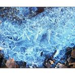 Blauer Frost