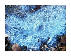 Blauer Frost