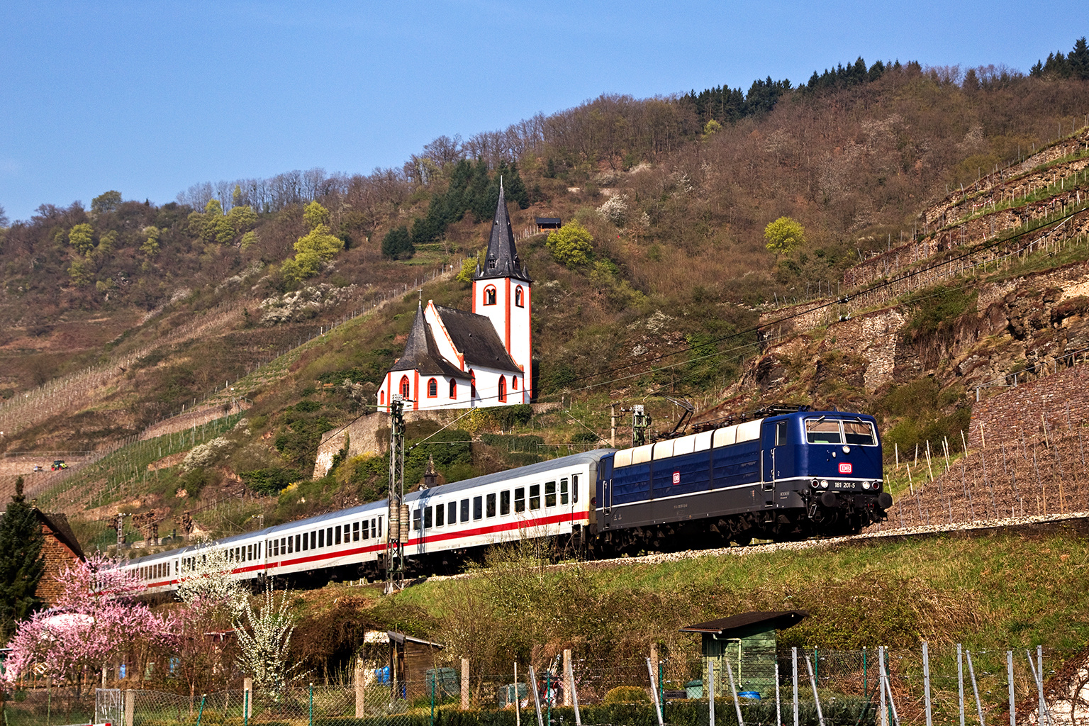 Blauer Frühling