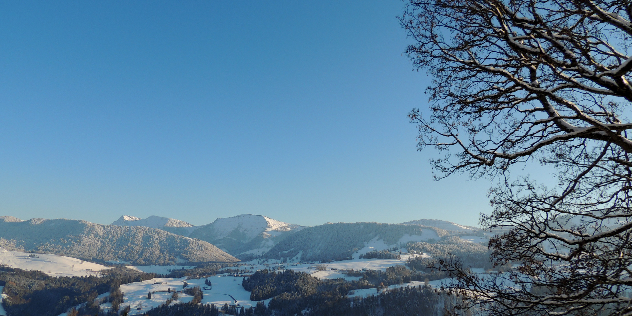 blauer geht nicht