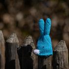 Blauer Hase am Zaun