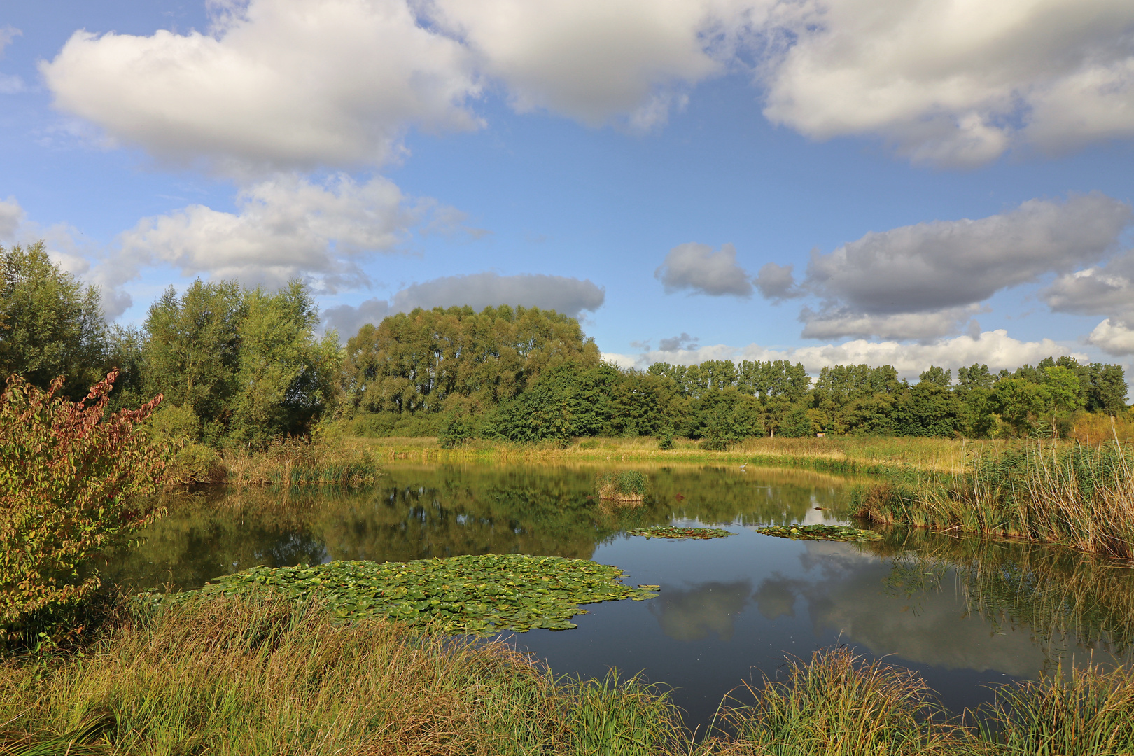 Blauer Herbsttag