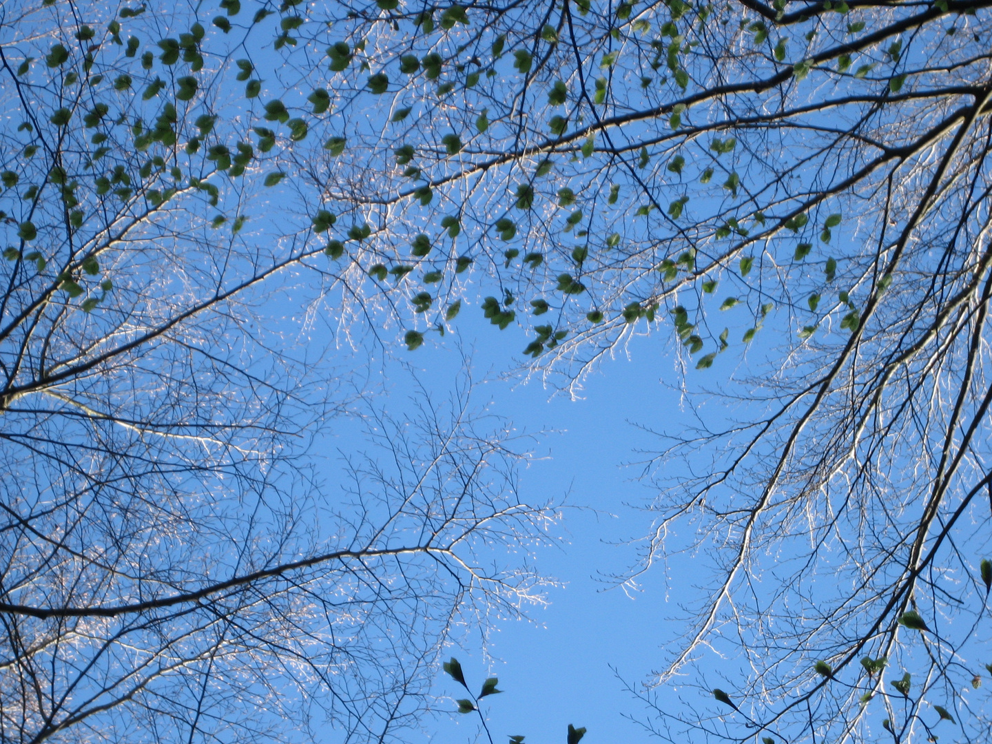 Blauer Himmel